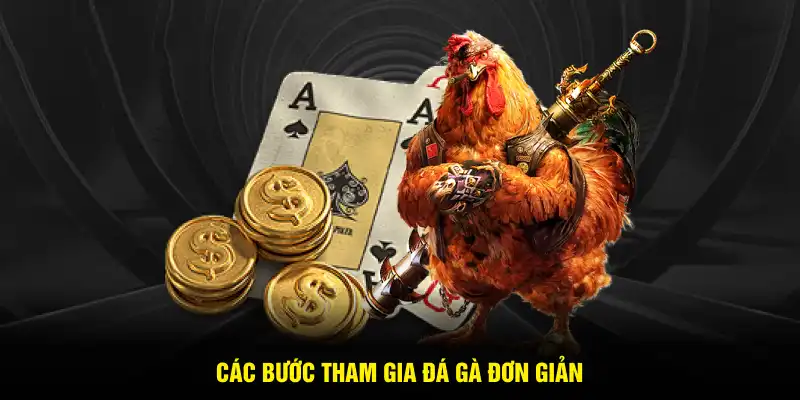 Các bước tham gia đá gà đơn giản