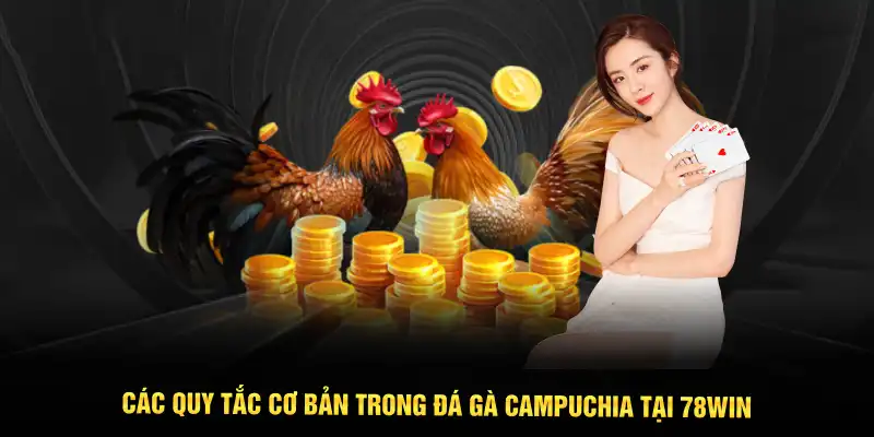 Các quy tắc cơ bản trong Đá gà Campuchia tại 78WIN