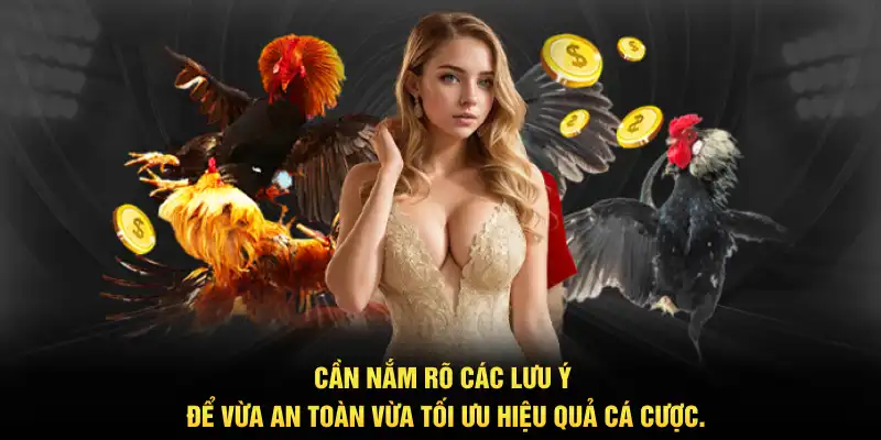 Cần nắm rõ các lưu ý để vừa an toàn vừa tối ưu hiệu quả cá cược.