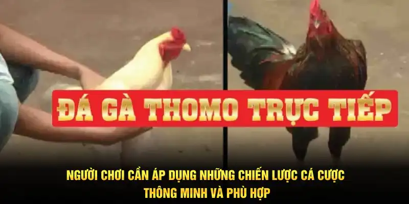 Người chơi cần áp dụng những chiến lược cá cược thông minh và phù hợp