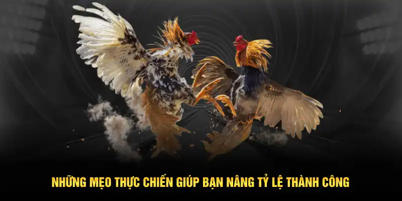 Những mẹo thực chiến giúp bạn nâng tỷ lệ thành công