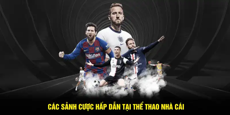 Các sảnh cược hấp dẫn tại thể thao nhà cái